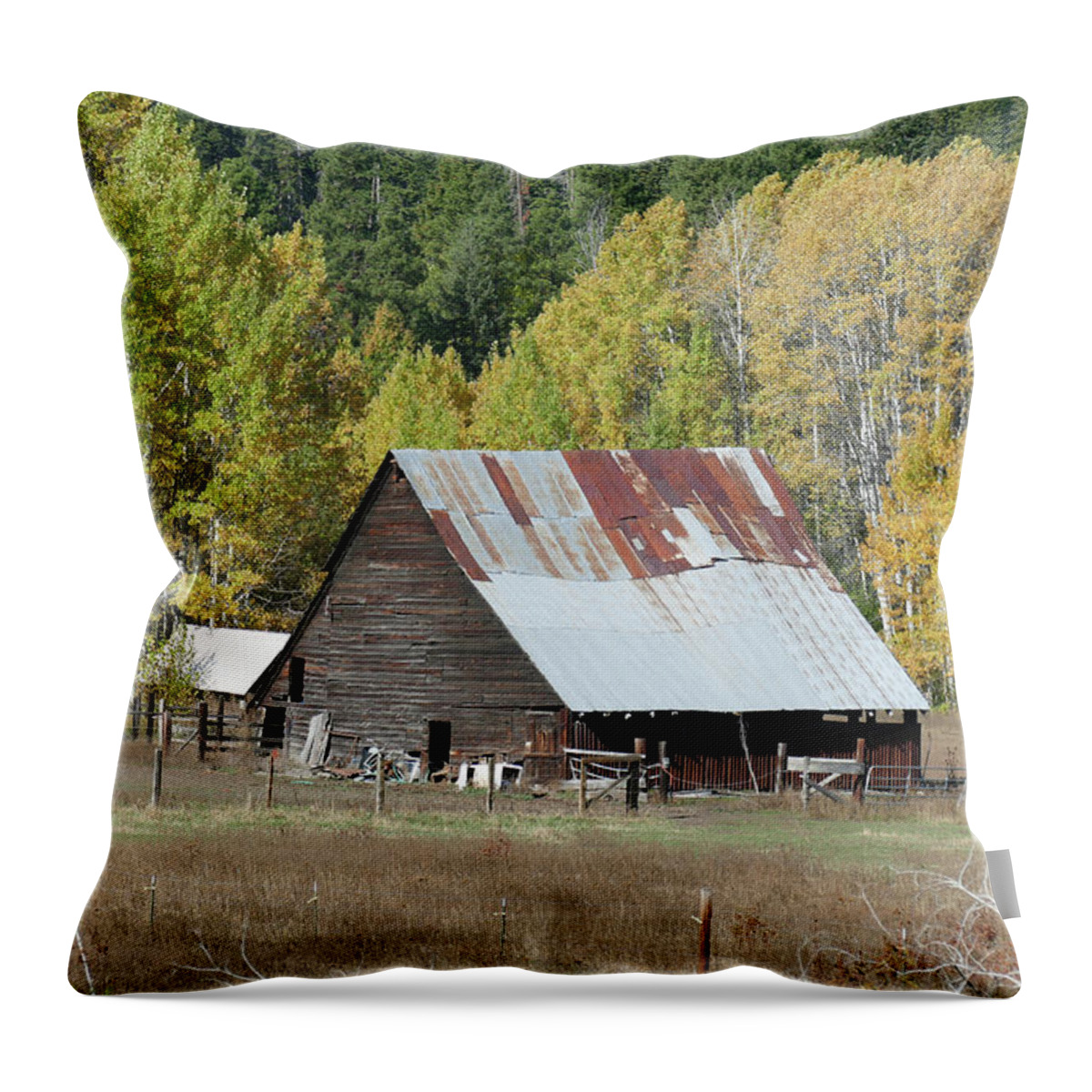 Farm Throw Pillow featuring the photograph Vintage wooden barn with autumn poplars by Steve Estvanik