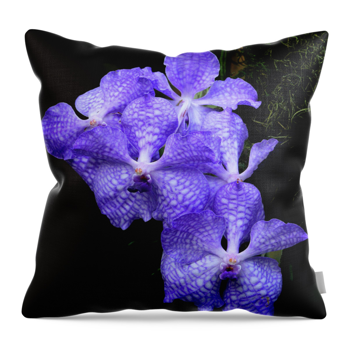 Flora Throw Pillow featuring the photograph Violet Orchid by Mariarosa Rockefeller