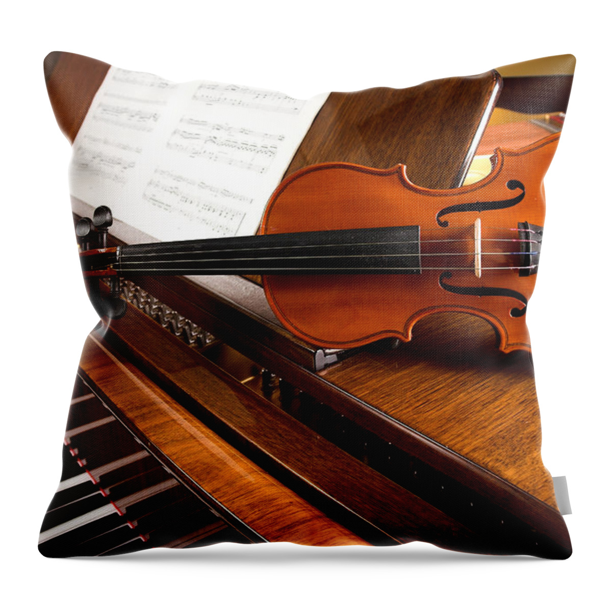 Piano Throw Pillow featuring the photograph Violin by Tolimir