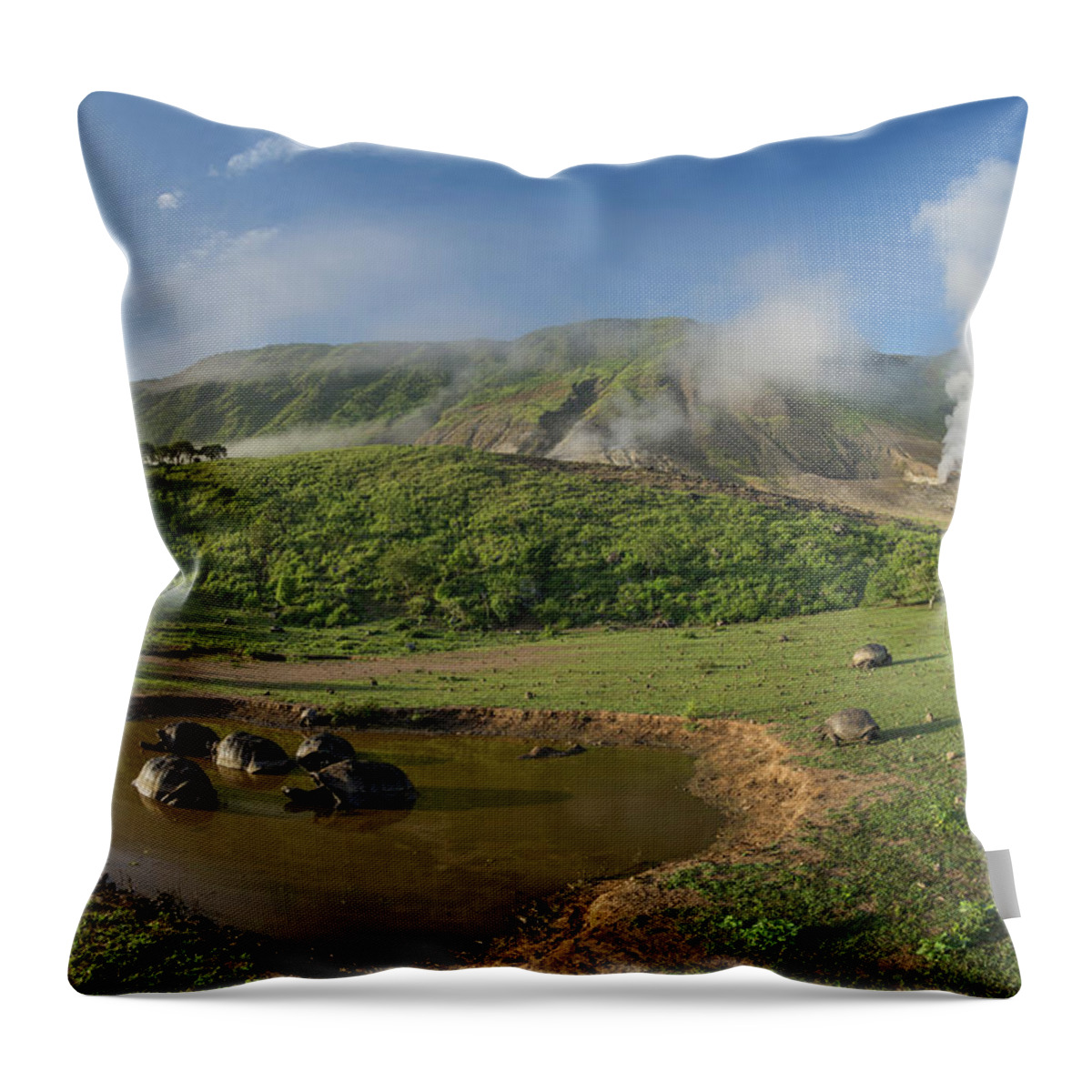 Animal Throw Pillow featuring the photograph Volcan Alcedo Tortoises In Wallow by Tui De Roy