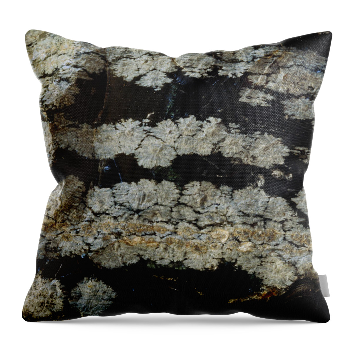 Mineral Throw Pillow featuring the photograph Volcanic Rock by David Wasserman