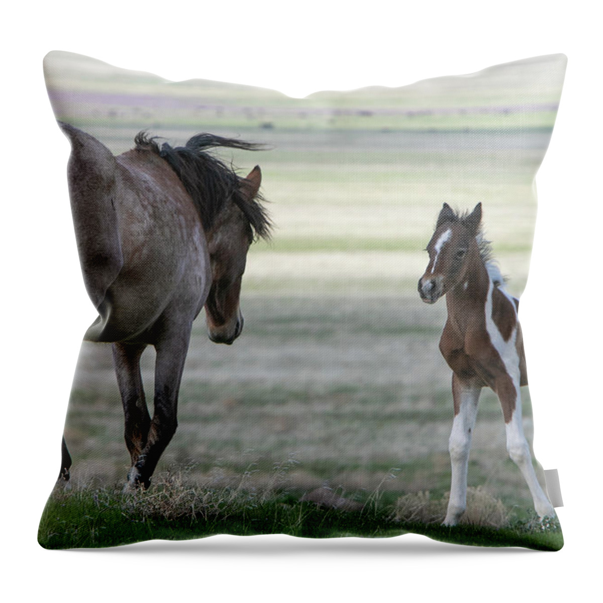 Horse Throw Pillow featuring the photograph Waiting For Mom by Kent Keller