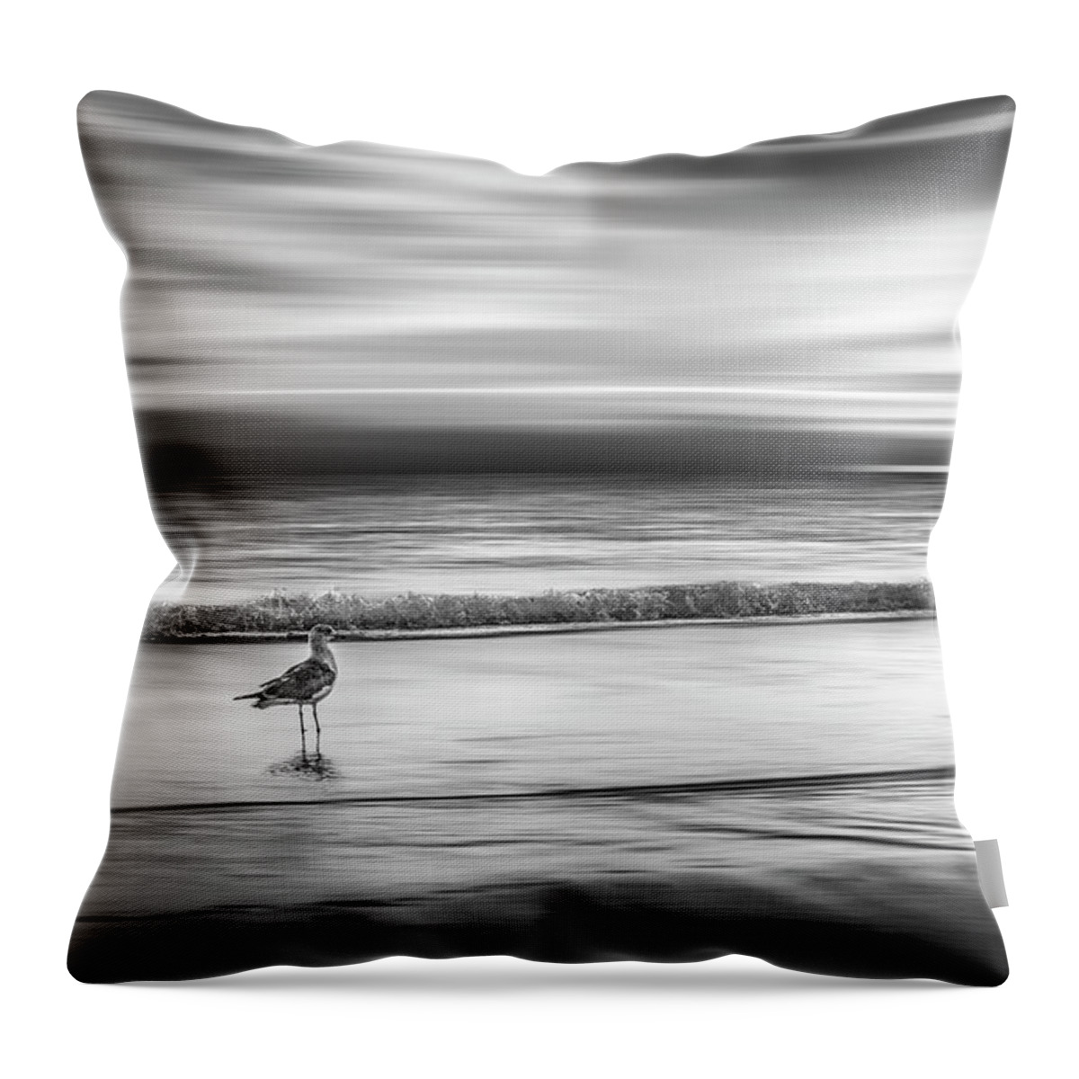 Birds Throw Pillow featuring the photograph Waiting for the Sun Dreamscape in Black and White by Debra and Dave Vanderlaan