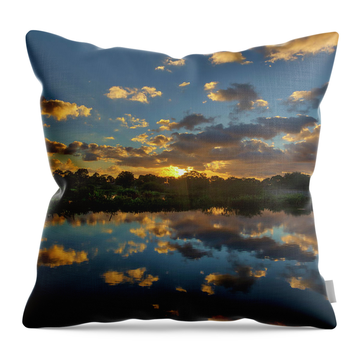 Wakodahatchee Wetlands Throw Pillow featuring the photograph Wakodahatcheen Wetlands Sunrise Magic by Juergen Roth