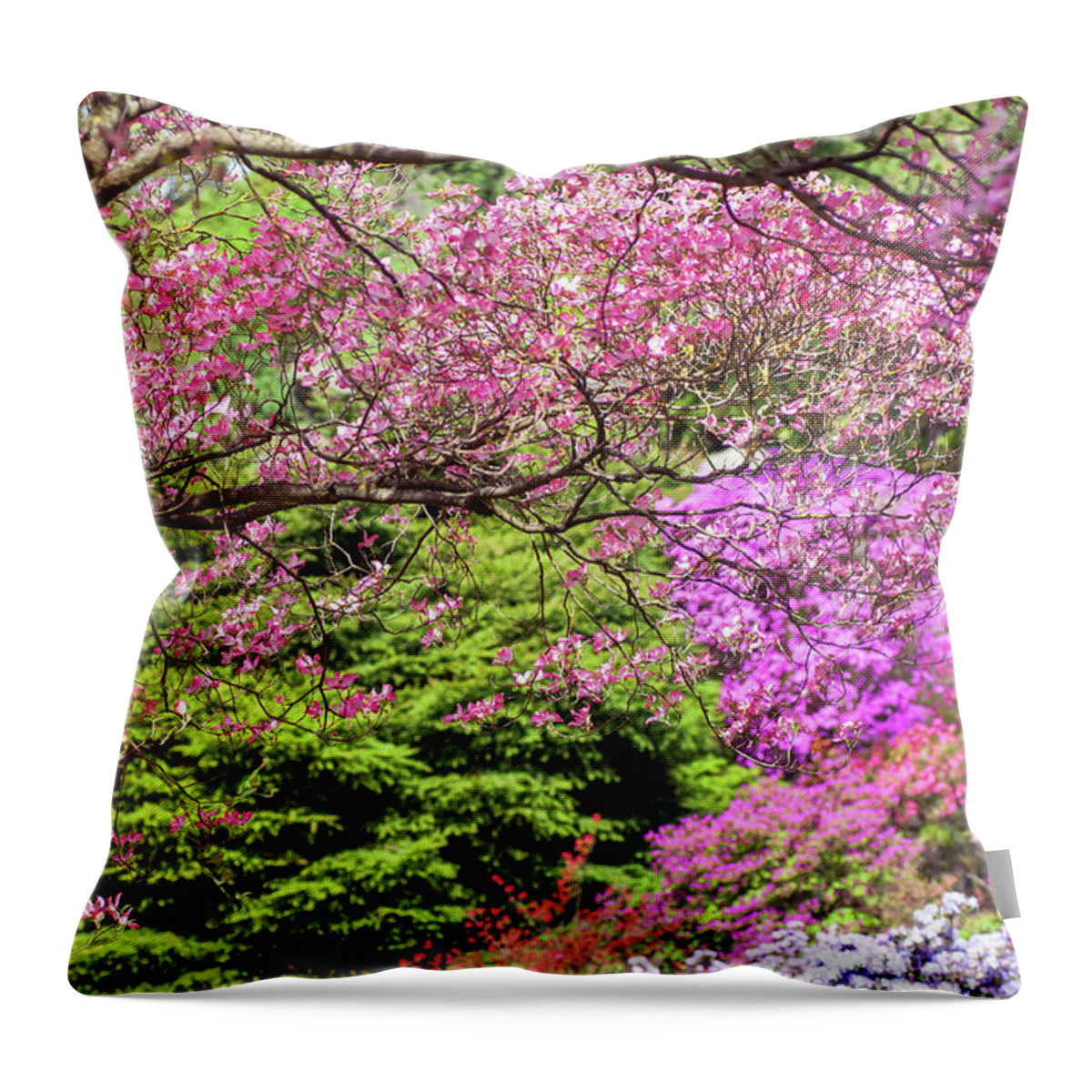 Jenny Rainbow Fine Art Photography Throw Pillow featuring the photograph Walk in Spring Eden. Pink Branch by Jenny Rainbow