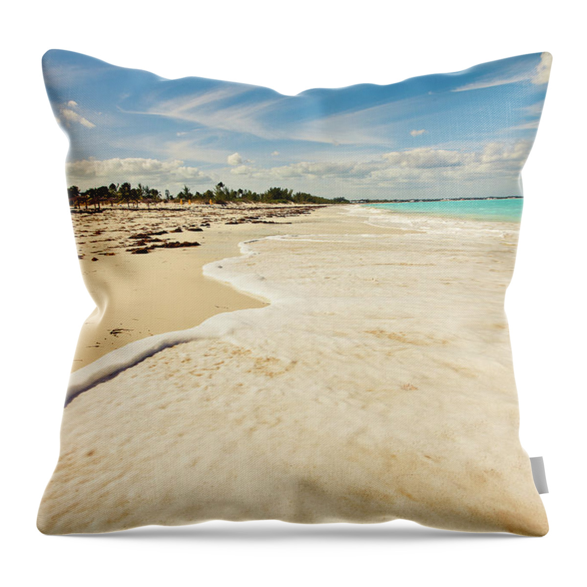 Walking Throw Pillow featuring the photograph Walking At High Tide by Susan Bryant