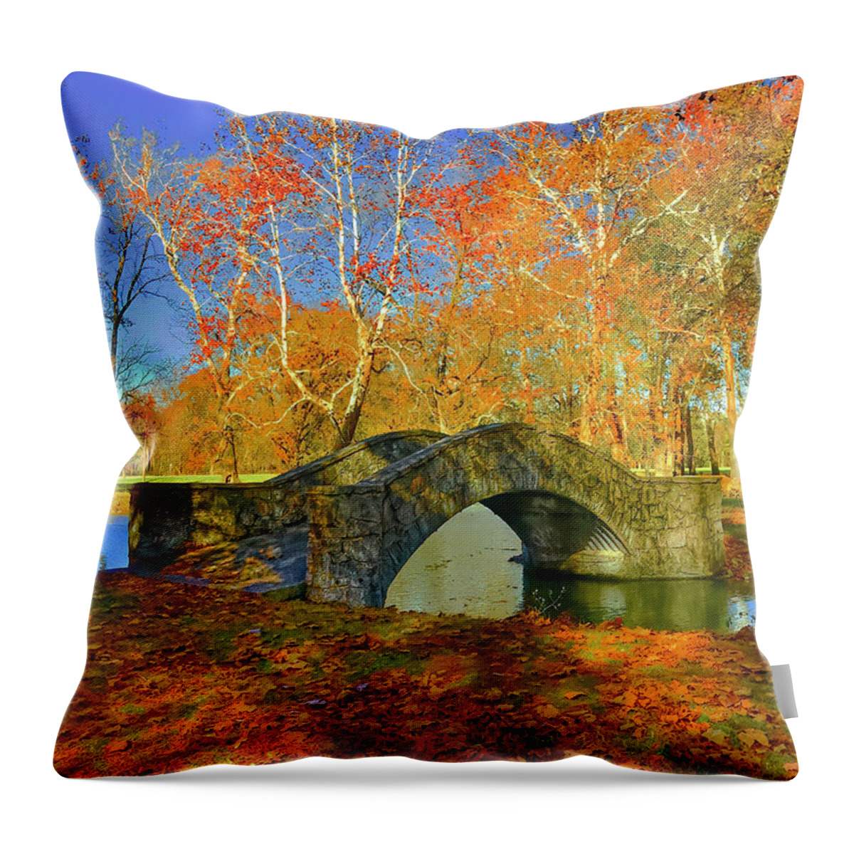  Throw Pillow featuring the photograph Walking Bridge by Jack Wilson