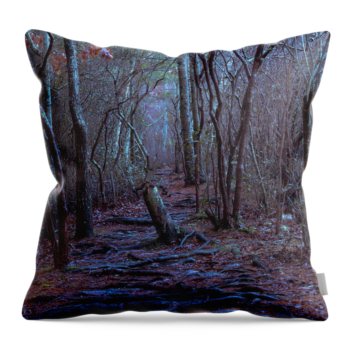 Forest Throw Pillow featuring the photograph Walking Path by William Bretton