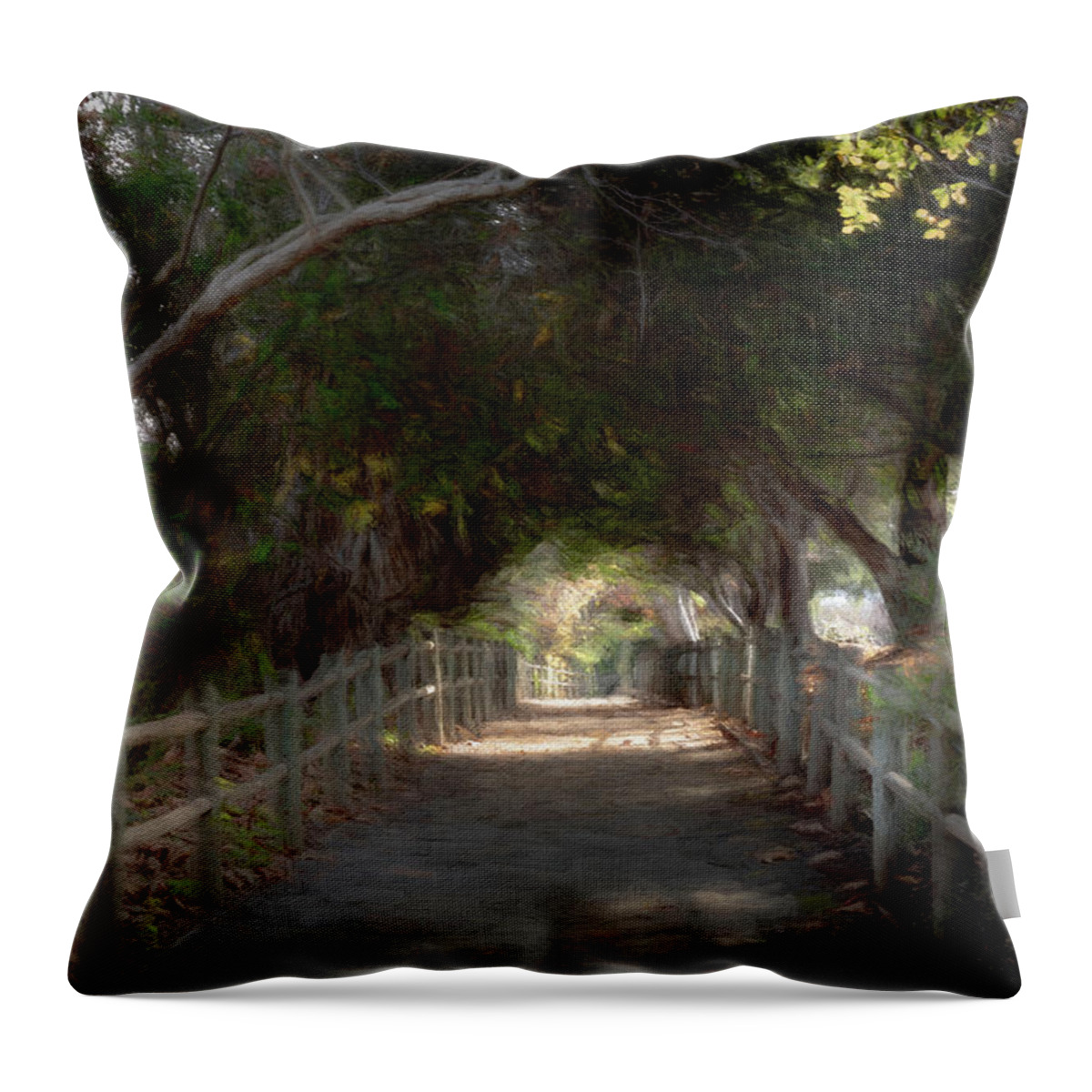 Trail Throw Pillow featuring the photograph Walking Trail by Alison Frank