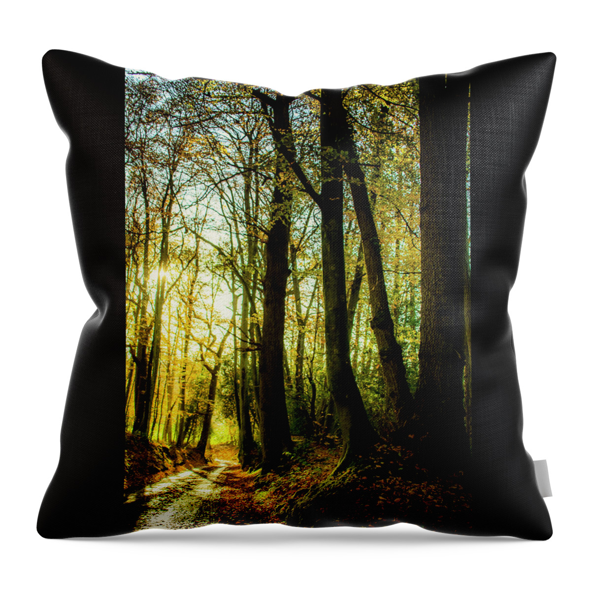 Tree Throw Pillow featuring the photograph Walking with Trees by Christopher Maxum