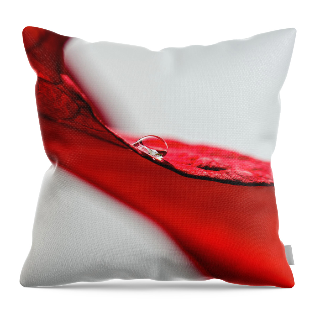 Scenics Throw Pillow featuring the photograph Water Drop On Red Leaf by Nancybelle Gonzaga Villarroya