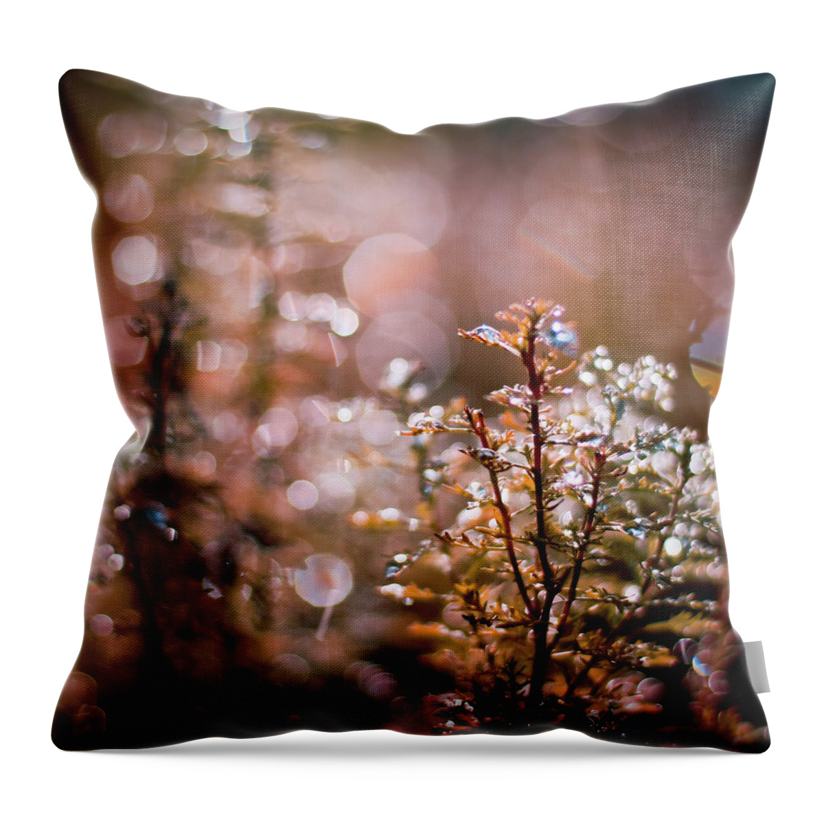 Outdoors Throw Pillow featuring the photograph Water Drops On Golden Plant by (c) Harold Lloyd
