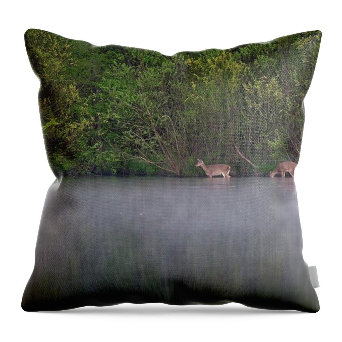Wildlife Throw Pillow featuring the photograph Water Grazing Deer by John Benedict