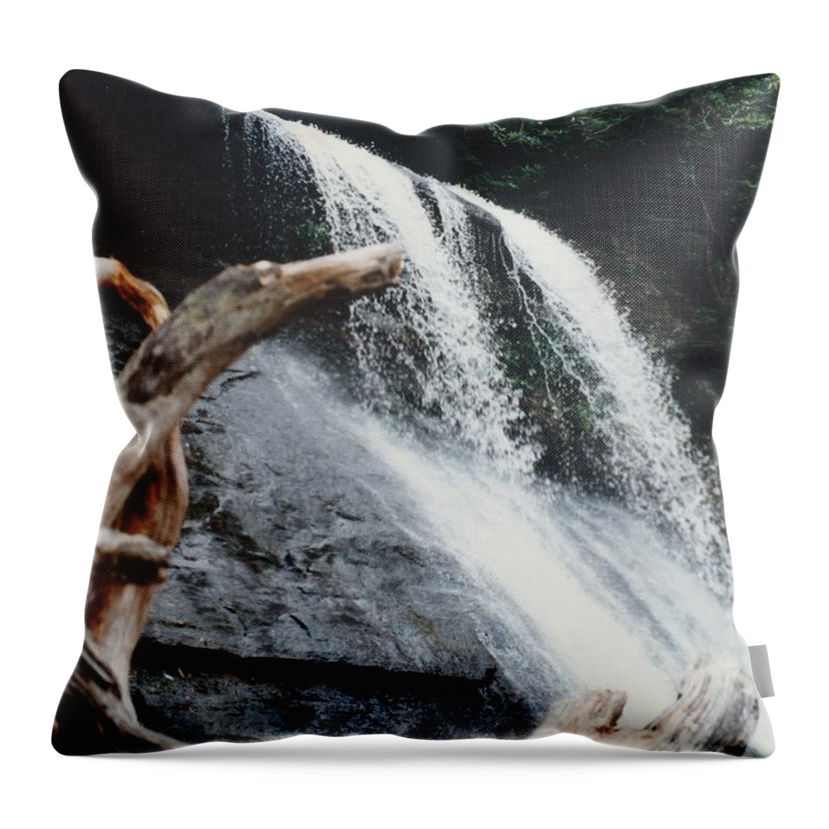 Waterfall Throw Pillow featuring the photograph Waterfall in the Smokies by Lois Tomaszewski
