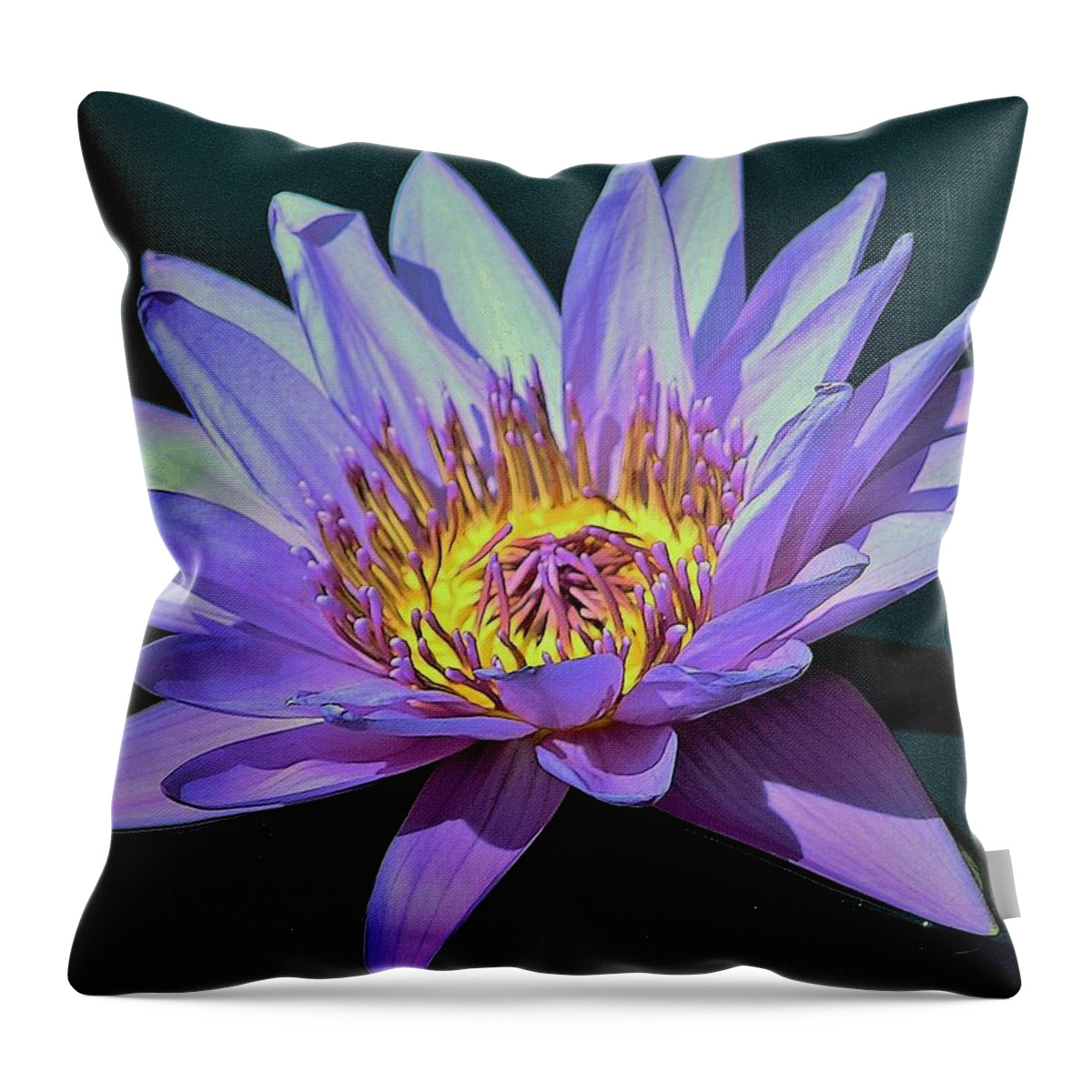 Nature Throw Pillow featuring the photograph Waterlily on the Lake by Bruce Bley