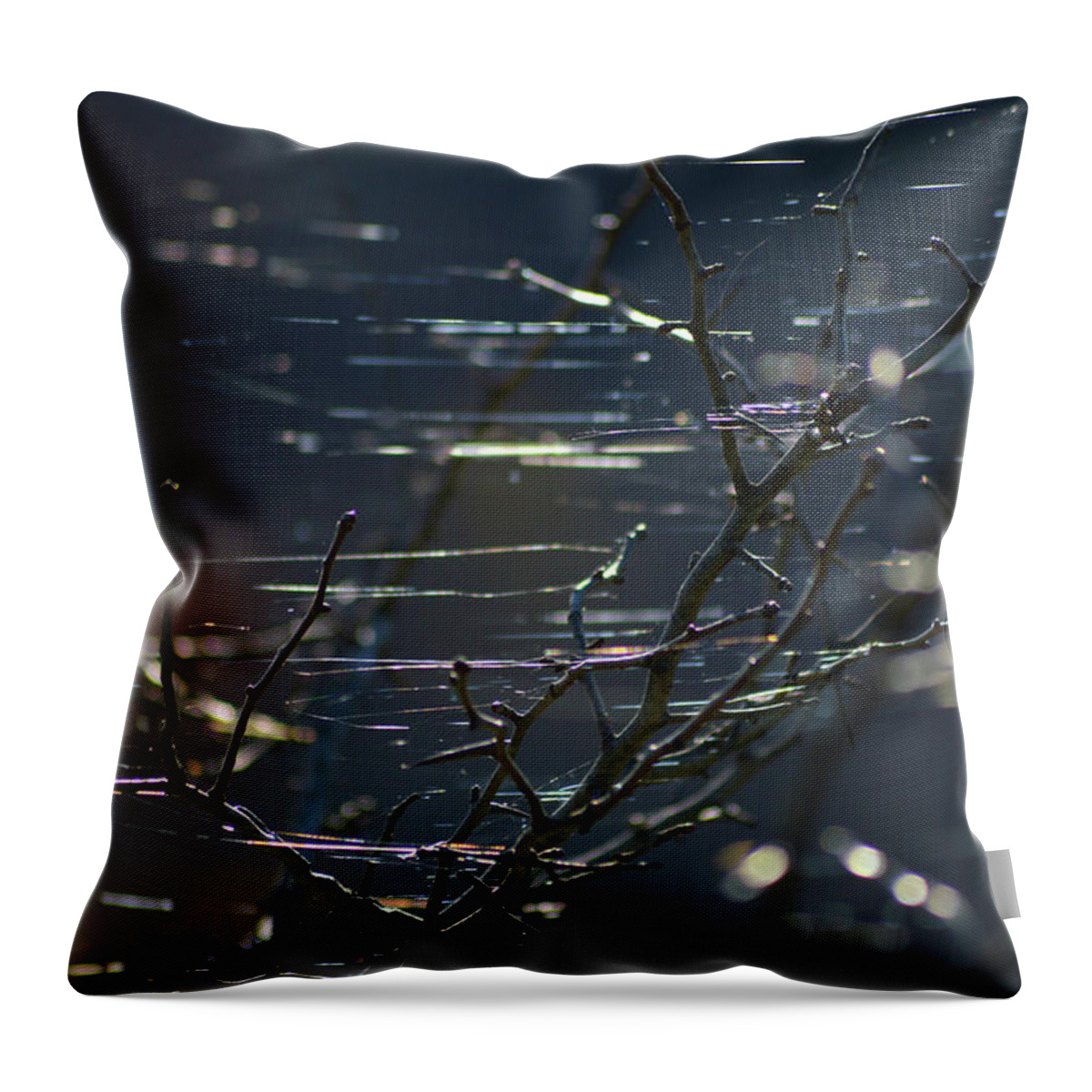Spider Webs Throw Pillow featuring the photograph Web Dance by Lisa Burbach