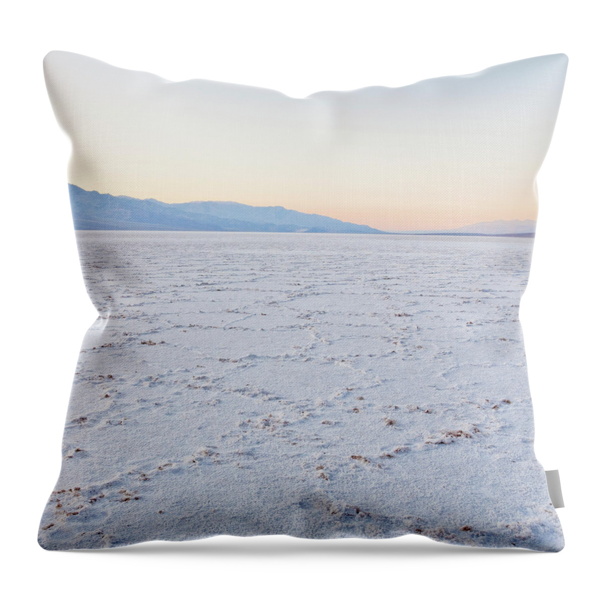 Tranquility Throw Pillow featuring the photograph Weight In Gold by Laura S. Kicey