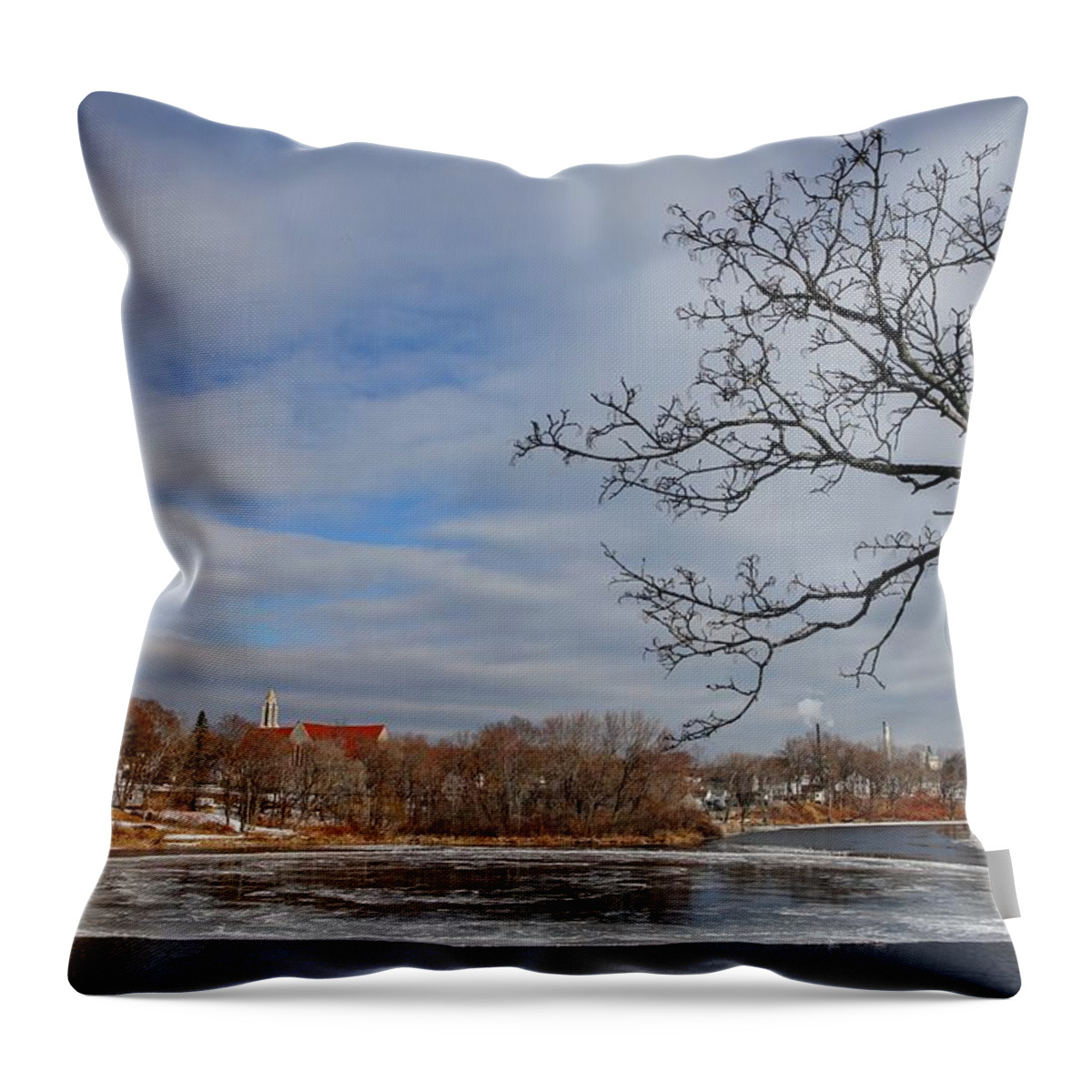 Ice Throw Pillow featuring the photograph Westbrook Ice Wheel by John Meader