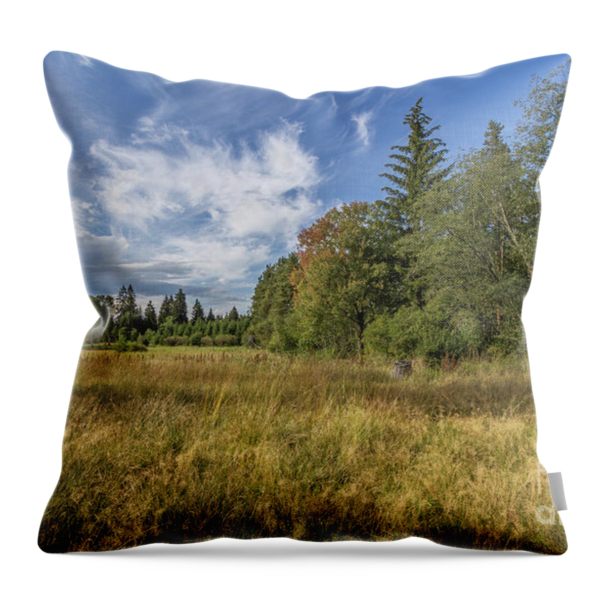 Moorlands Throw Pillow featuring the photograph Wetlands by Bernd Laeschke