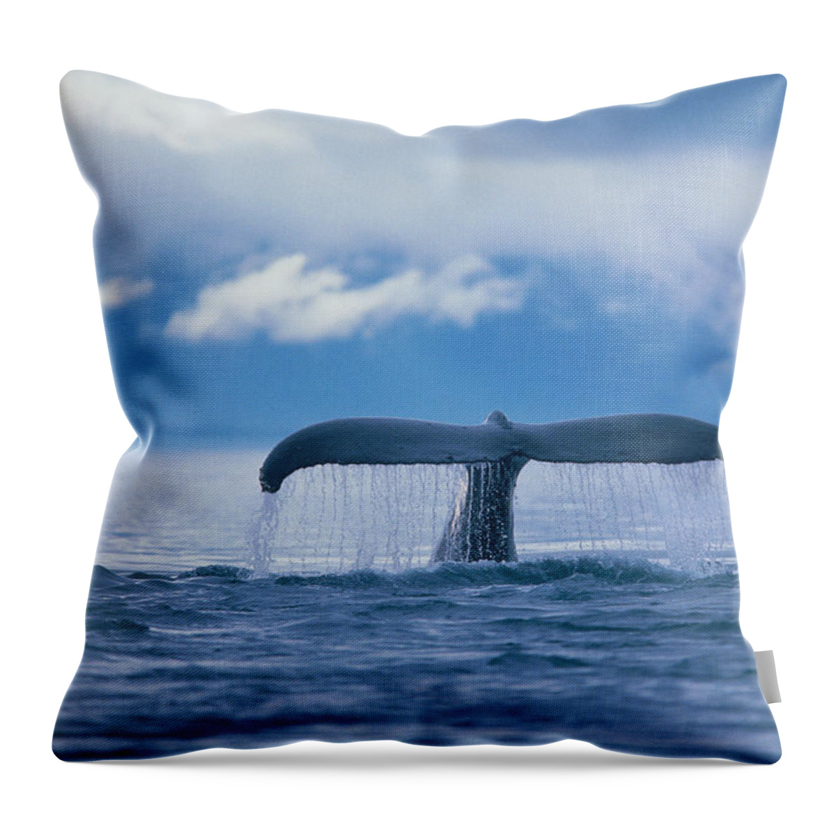 Whale Throw Pillow featuring the photograph Whale by Stuart Westmorland