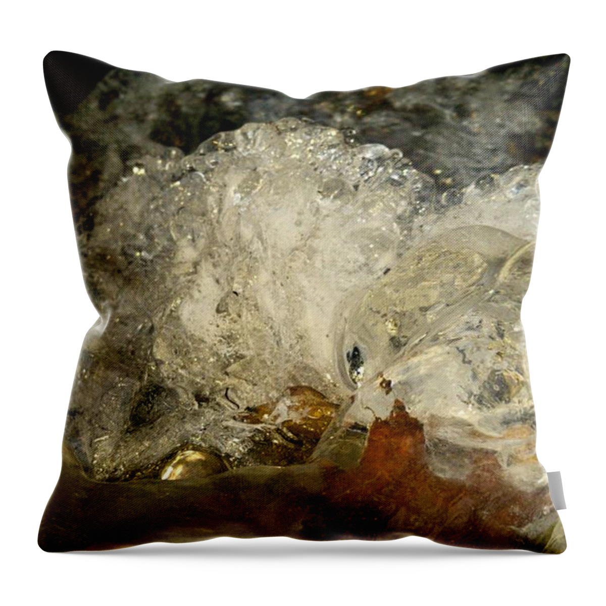 Uther Throw Pillow featuring the photograph What The by Uther Pendraggin