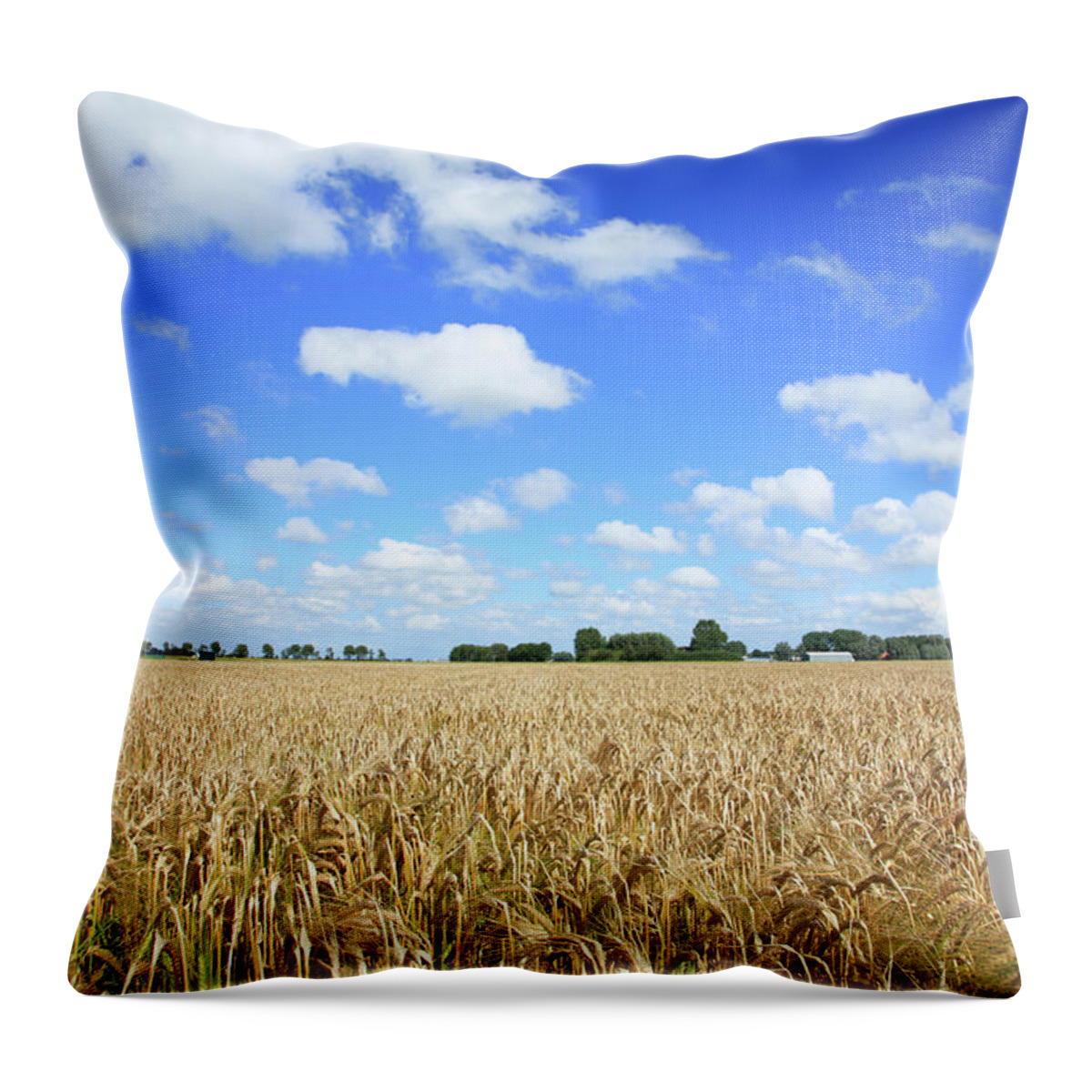 Scenics Throw Pillow featuring the photograph Wheat Field by Micheldenijs