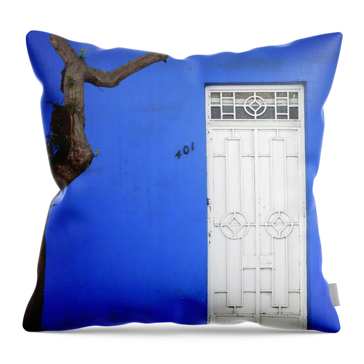 Door Throw Pillow featuring the photograph When a Tree Comes Knocking by Rick Locke - Out of the Corner of My Eye