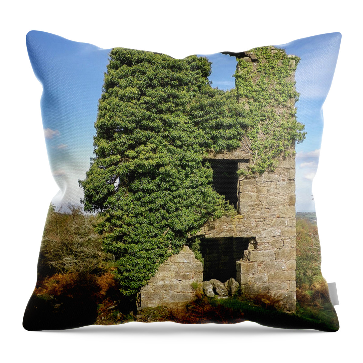 Marke Valley Throw Pillow featuring the photograph Whim Winding Engine House Marke Valley Bodmin Moor Cornwall by Richard Brookes