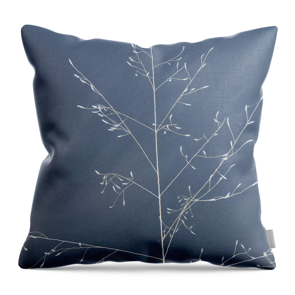 Photograph Throw Pillow featuring the photograph Wispy Stems of Grass by Christy Garavetto