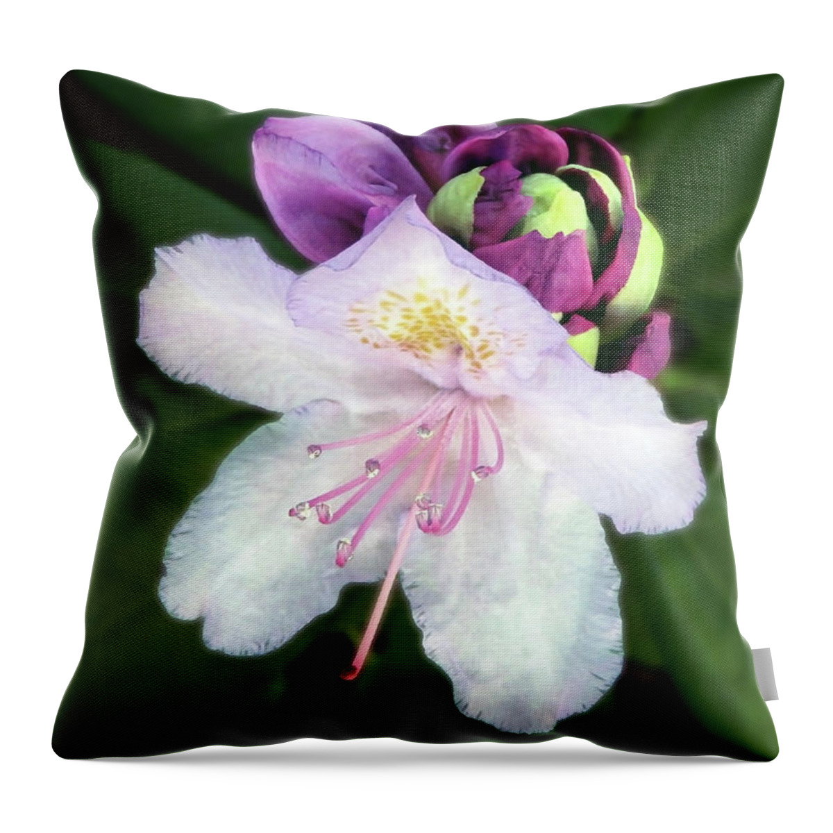 Flower Throw Pillow featuring the photograph White And Purple Rhododendron Closeup by Johanna Hurmerinta