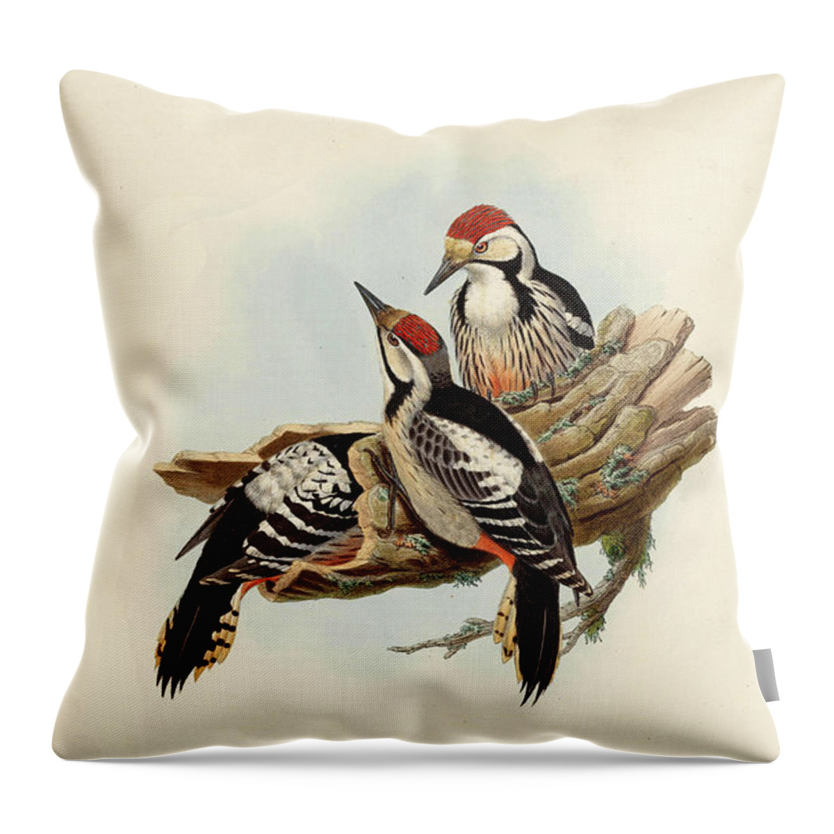 Woodpecker Throw Pillow featuring the painting White-Backed Woodpecker by John Gould