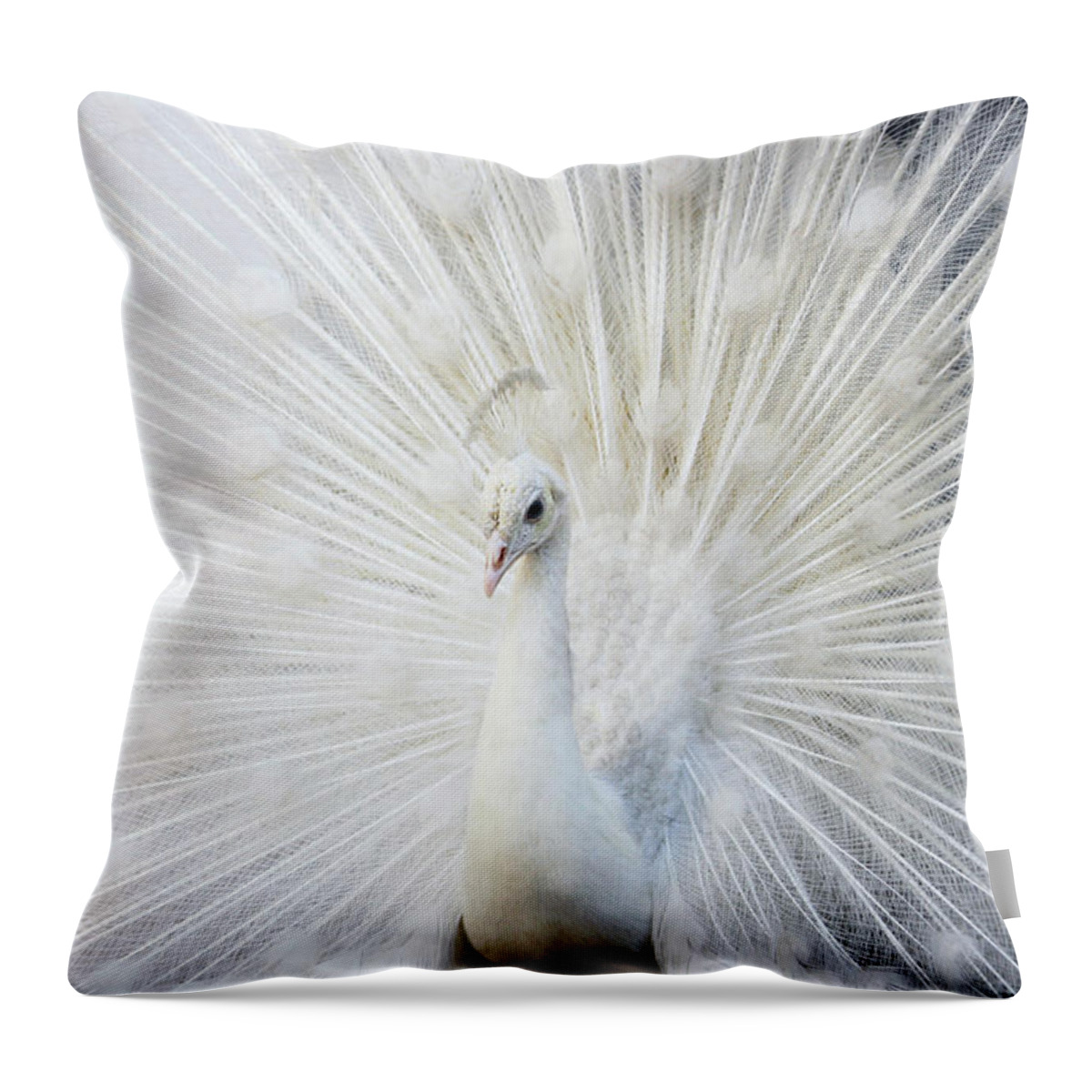 Animal Themes Throw Pillow featuring the photograph White Beauty by Iqbal Khatri