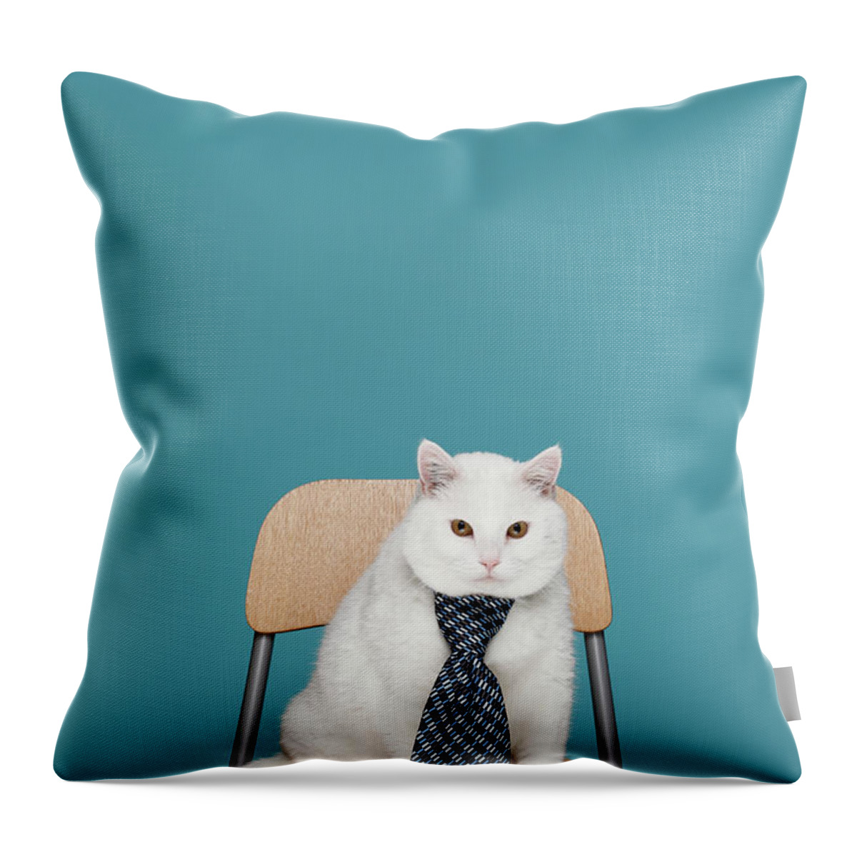 Pets Throw Pillow featuring the photograph White Cat In Tie by Steven Coutts Photography