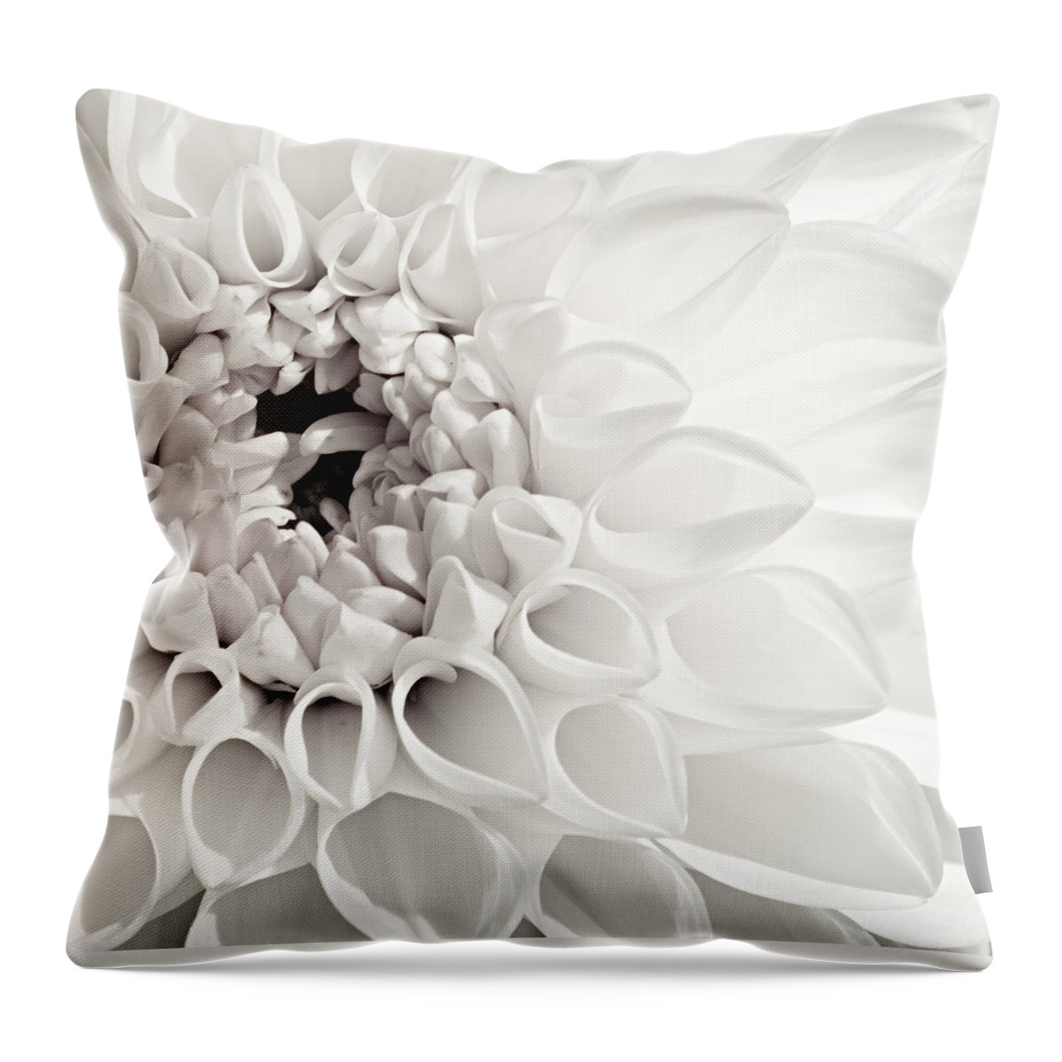 Petal Throw Pillow featuring the photograph White Dahlia Dalia Blanca by Jorge Miguel Blázquez