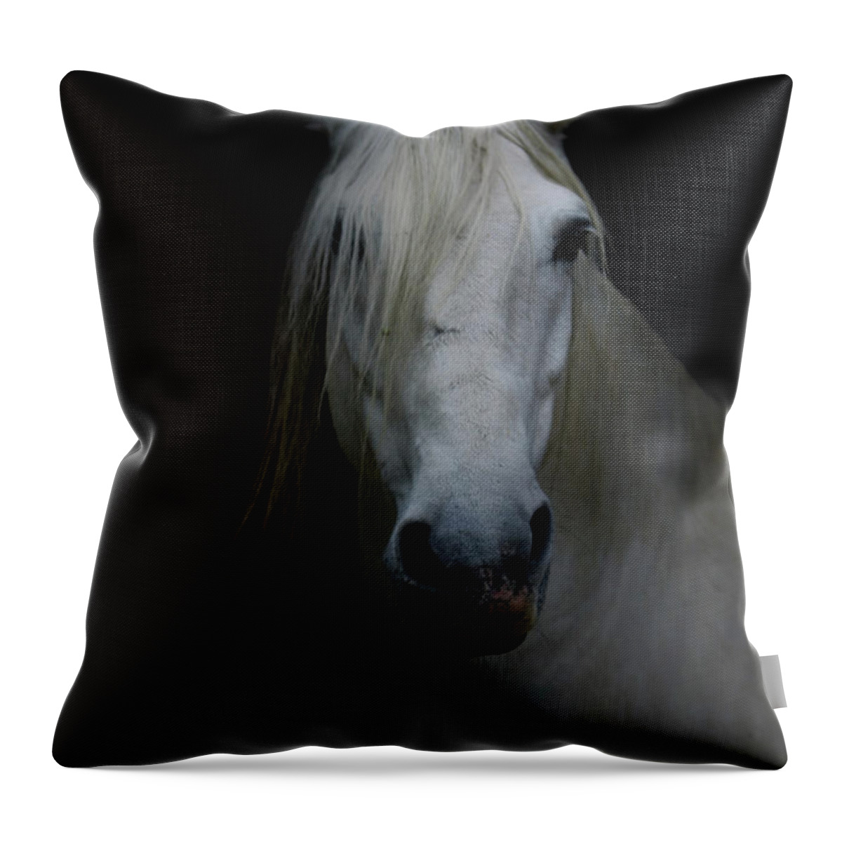 Horse Throw Pillow featuring the photograph White Horse In Shadow by Christiana Stawski