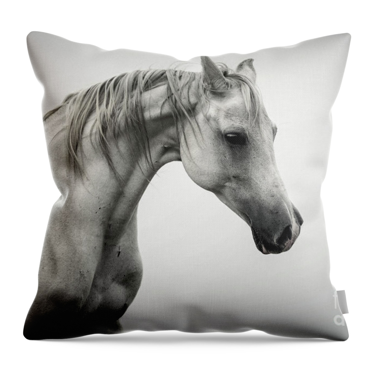 Horse Throw Pillow featuring the photograph White Horse Winter Mist Portrait by Dimitar Hristov