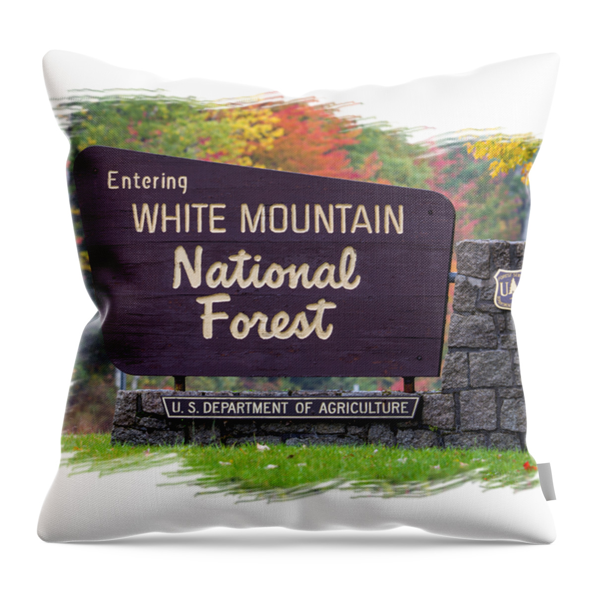 White Throw Pillow featuring the photograph White Mountain National Forest Cutout by White Mountain Images