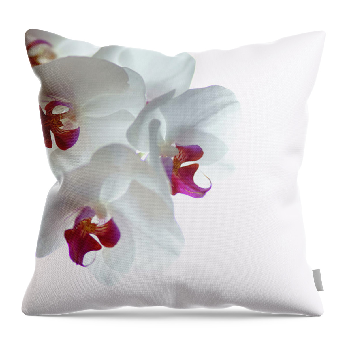 White Background Throw Pillow featuring the photograph White Orchid Blossoms by Photography By Spencer Bowman