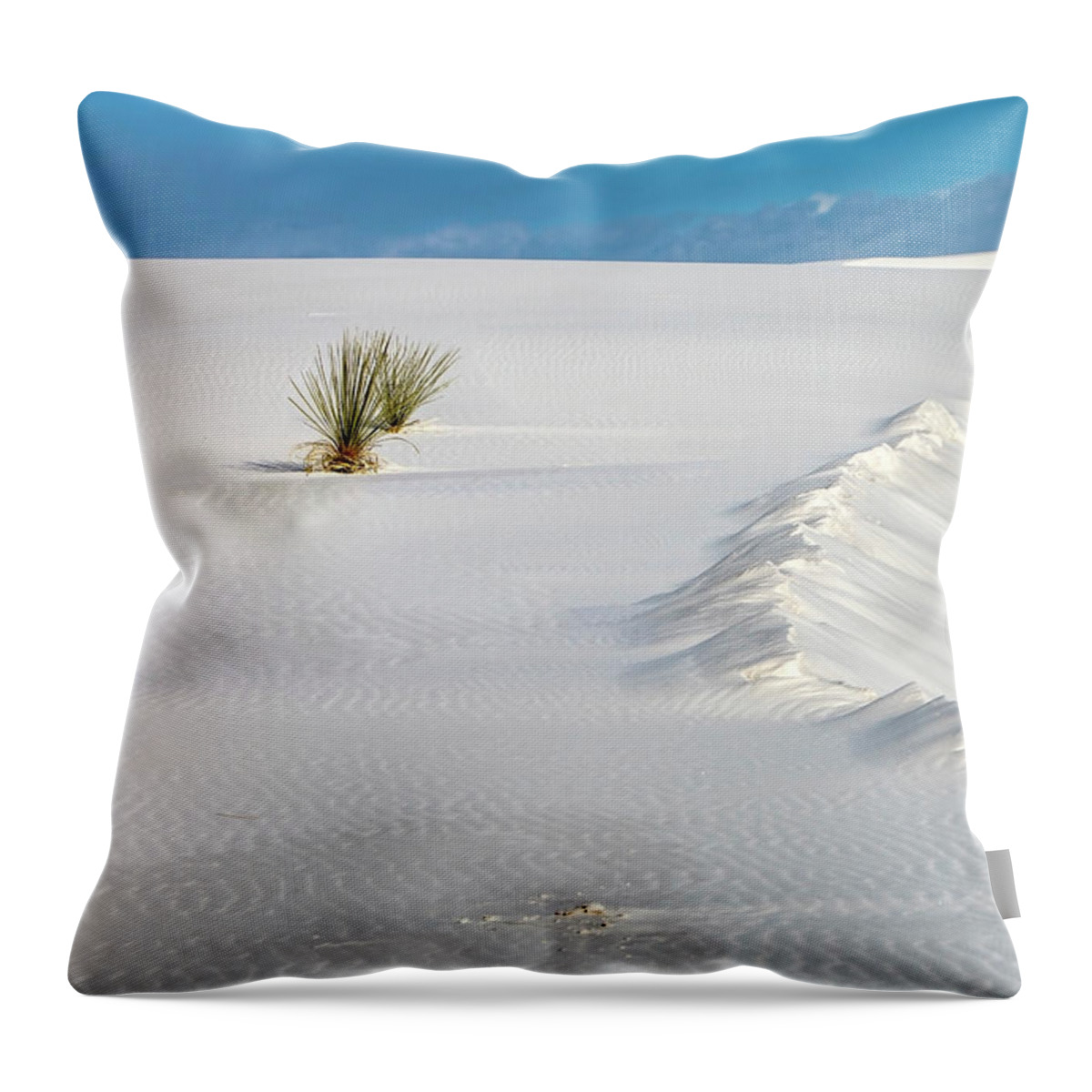 White Sands Throw Pillow featuring the photograph White Sands Still Life by Harriet Feagin