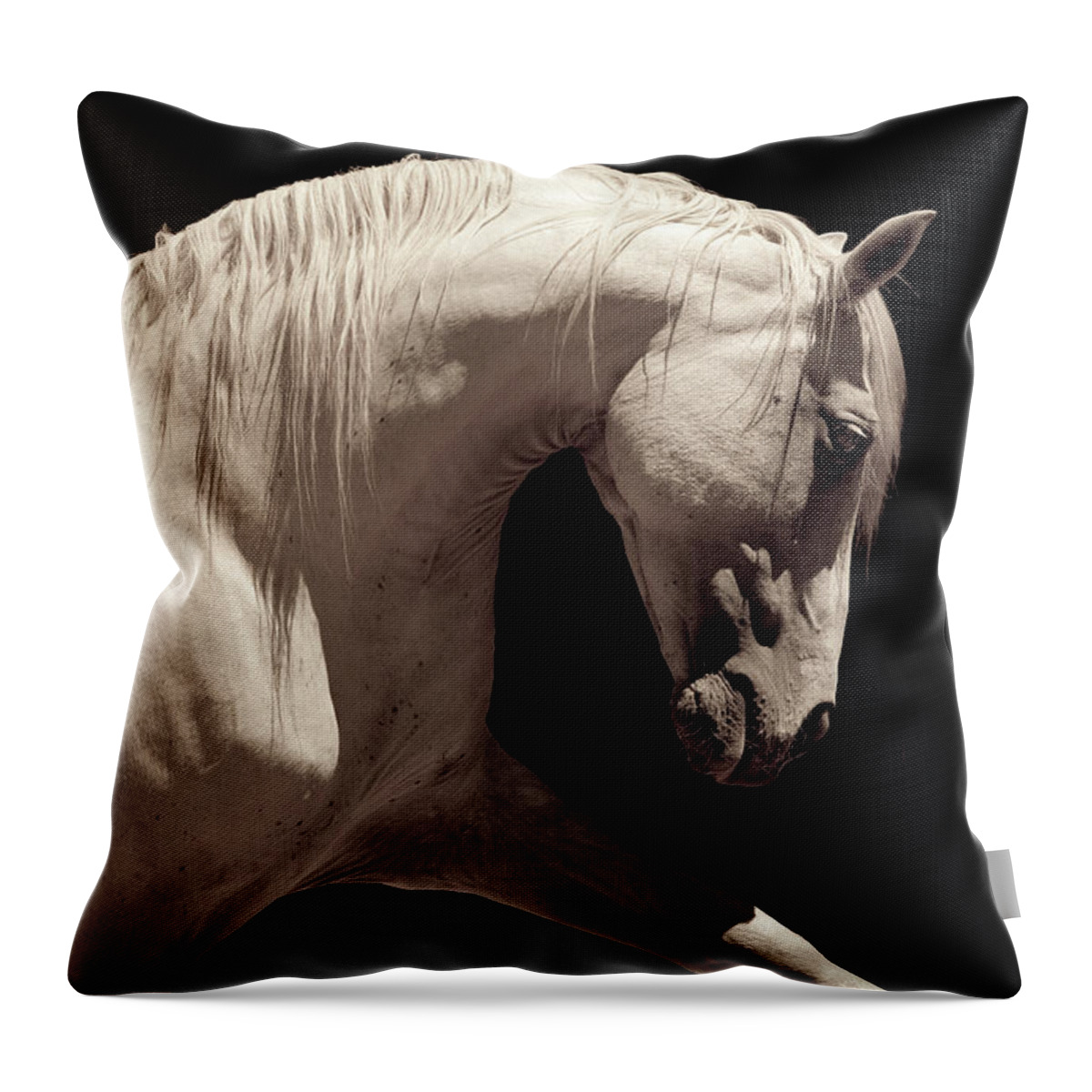 Horse Throw Pillow featuring the photograph White Stallion Horse Andalusian by 66north