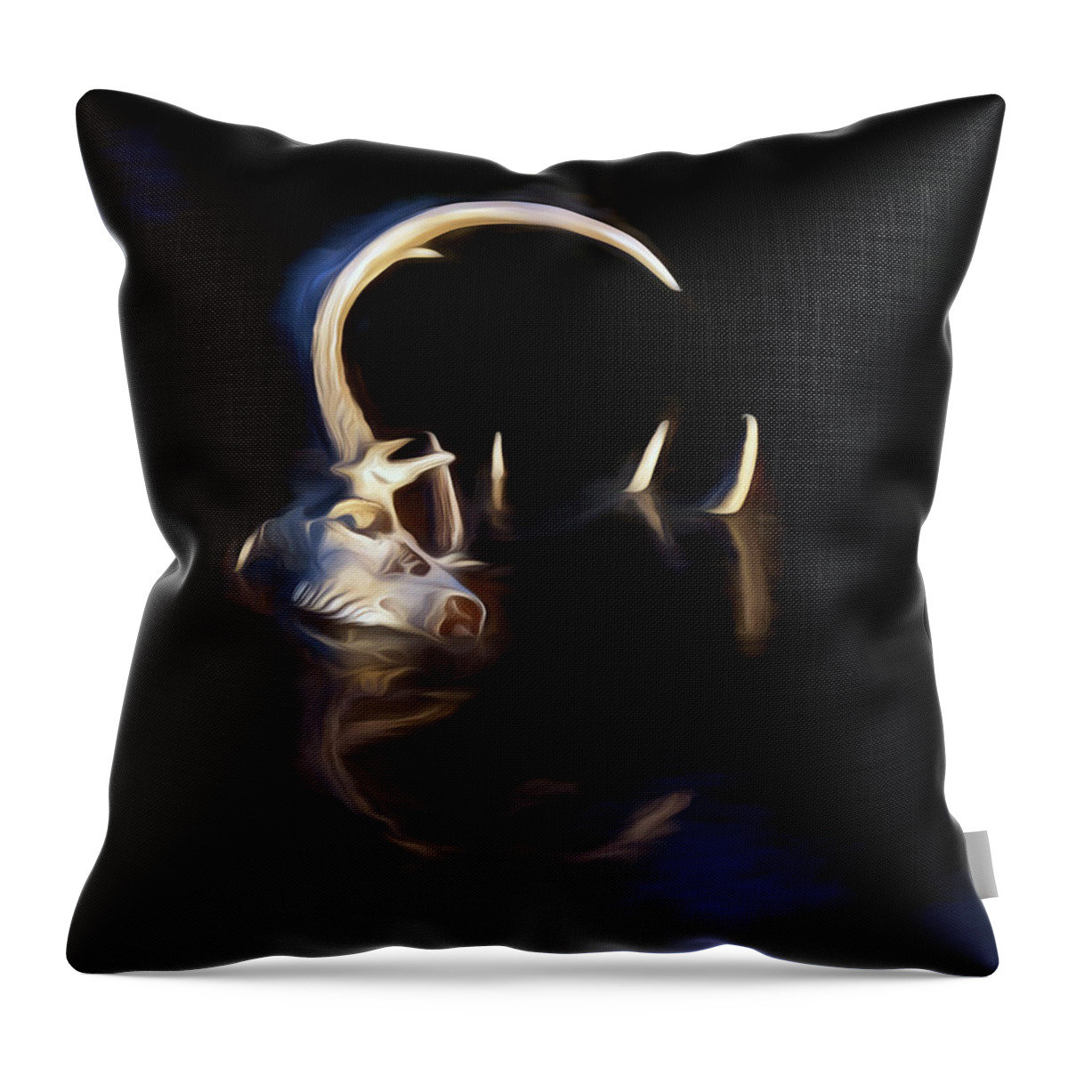 Kansas Throw Pillow featuring the photograph White-tail Deer 003 by Rob Graham