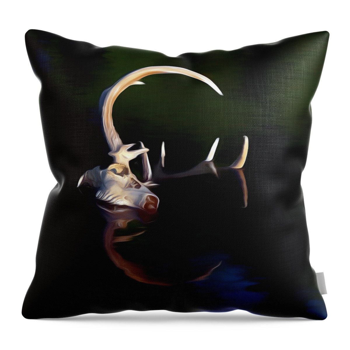 Kansas Throw Pillow featuring the photograph White-tail Deer 004 by Rob Graham