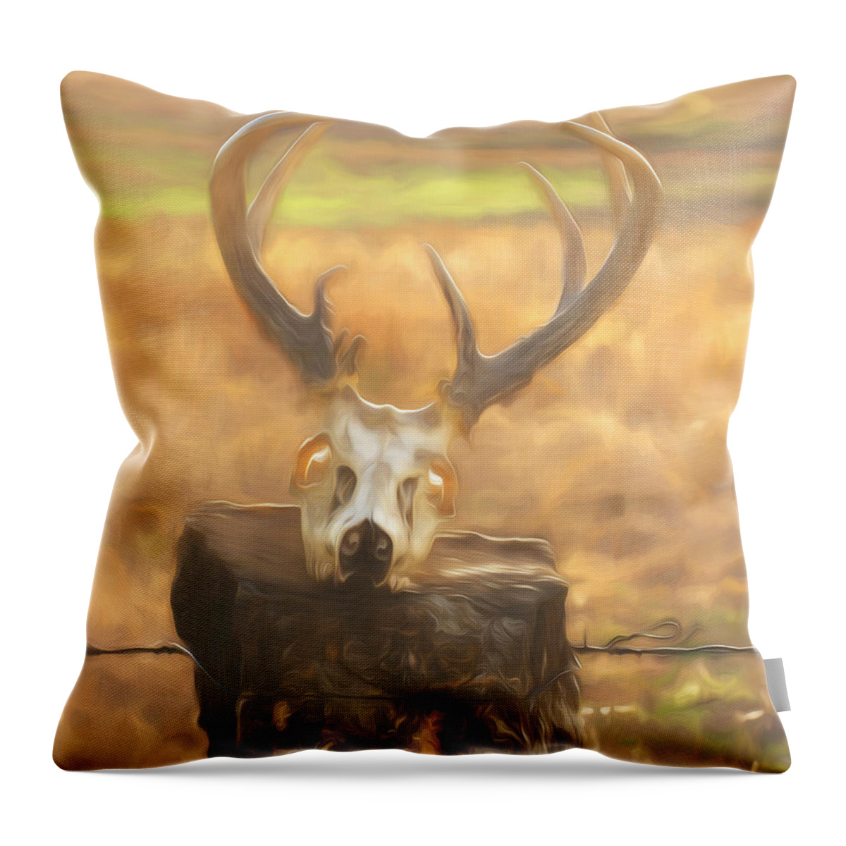 Kansas Throw Pillow featuring the photograph White-tail Deer 012 by Rob Graham