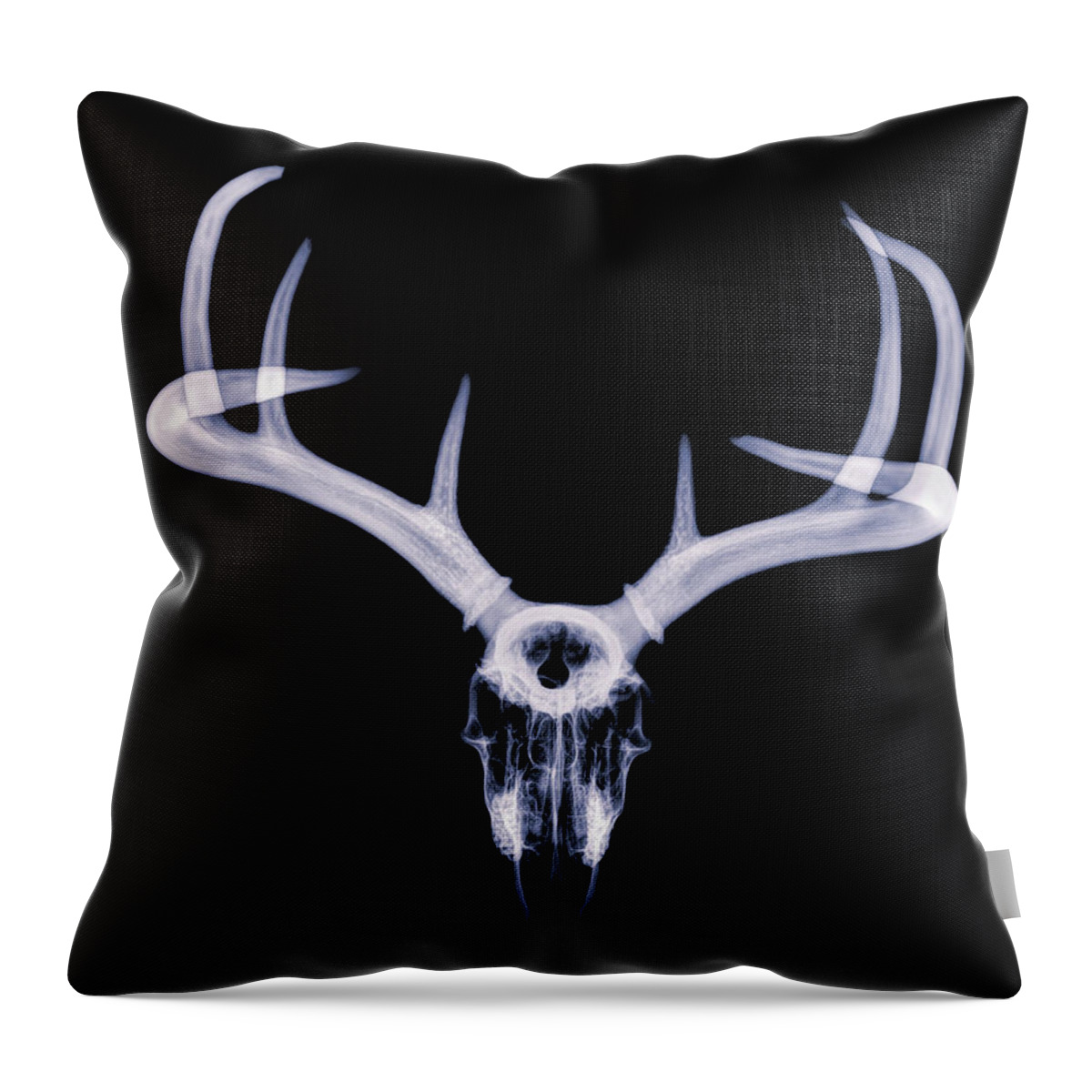 Kansas Throw Pillow featuring the photograph White-tailed Deer x-ray 010 by Rob Graham