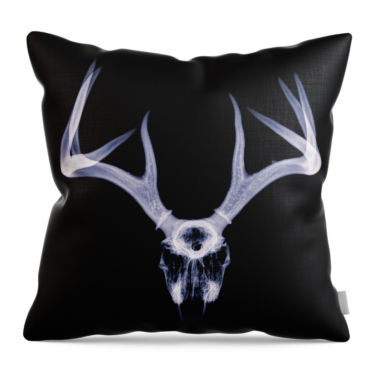 Kansas Throw Pillow featuring the photograph White-tailed Deer x-ray 012 by Rob Graham
