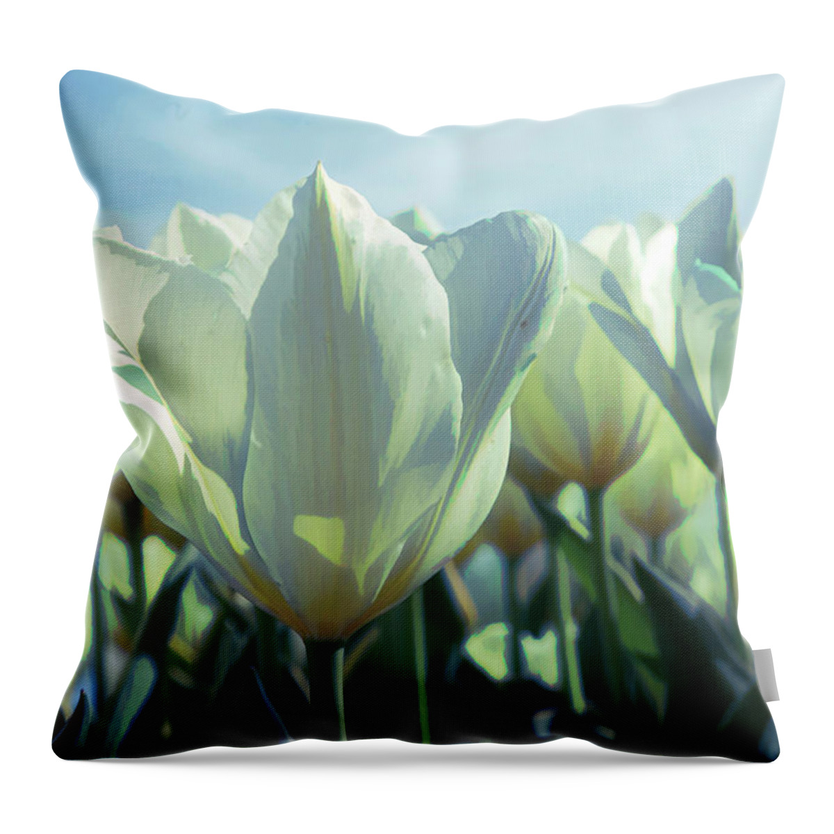White Tulips Throw Pillow featuring the photograph White Tulips by Steve Ladner