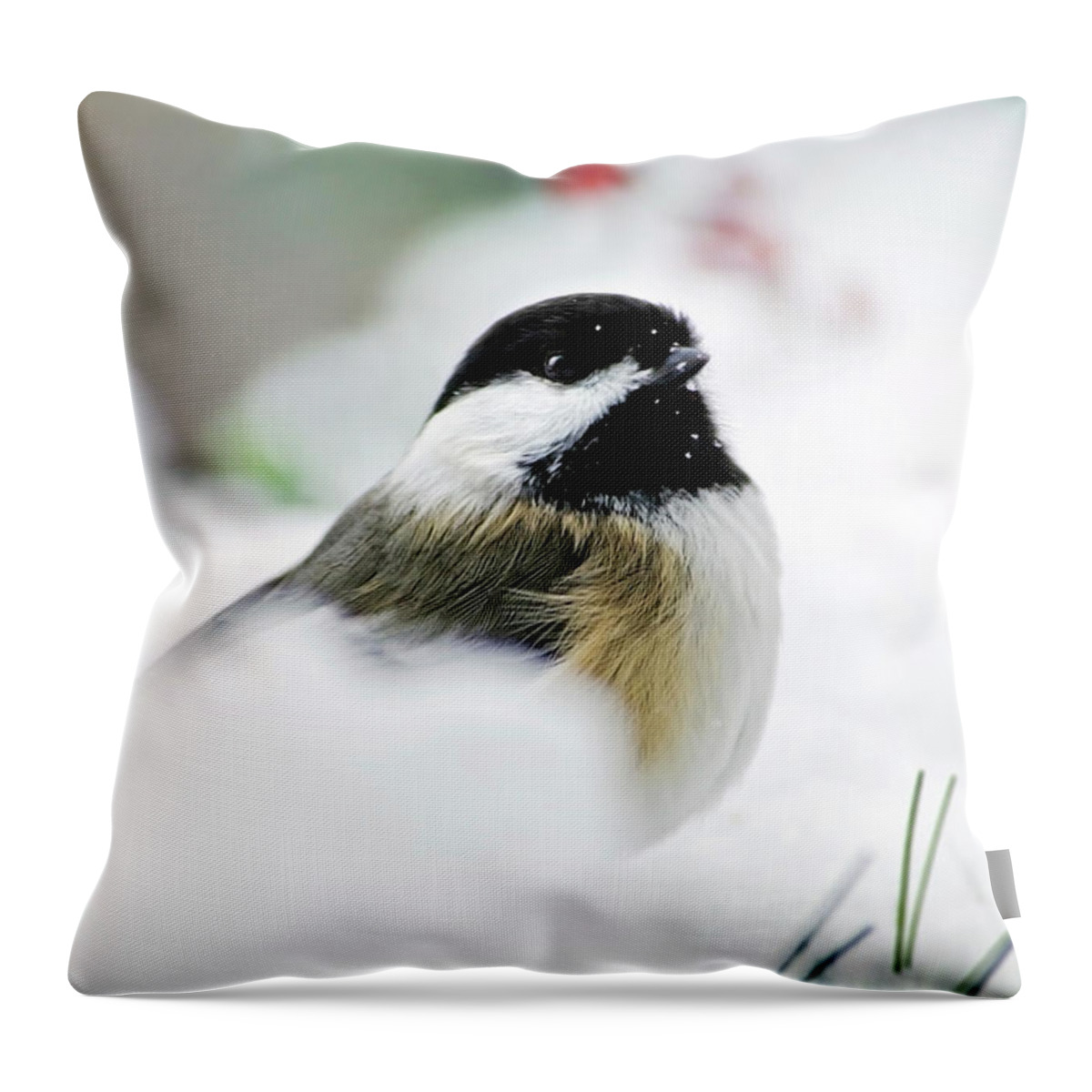 Chickadee Throw Pillow featuring the photograph White Winter Chickadee by Christina Rollo