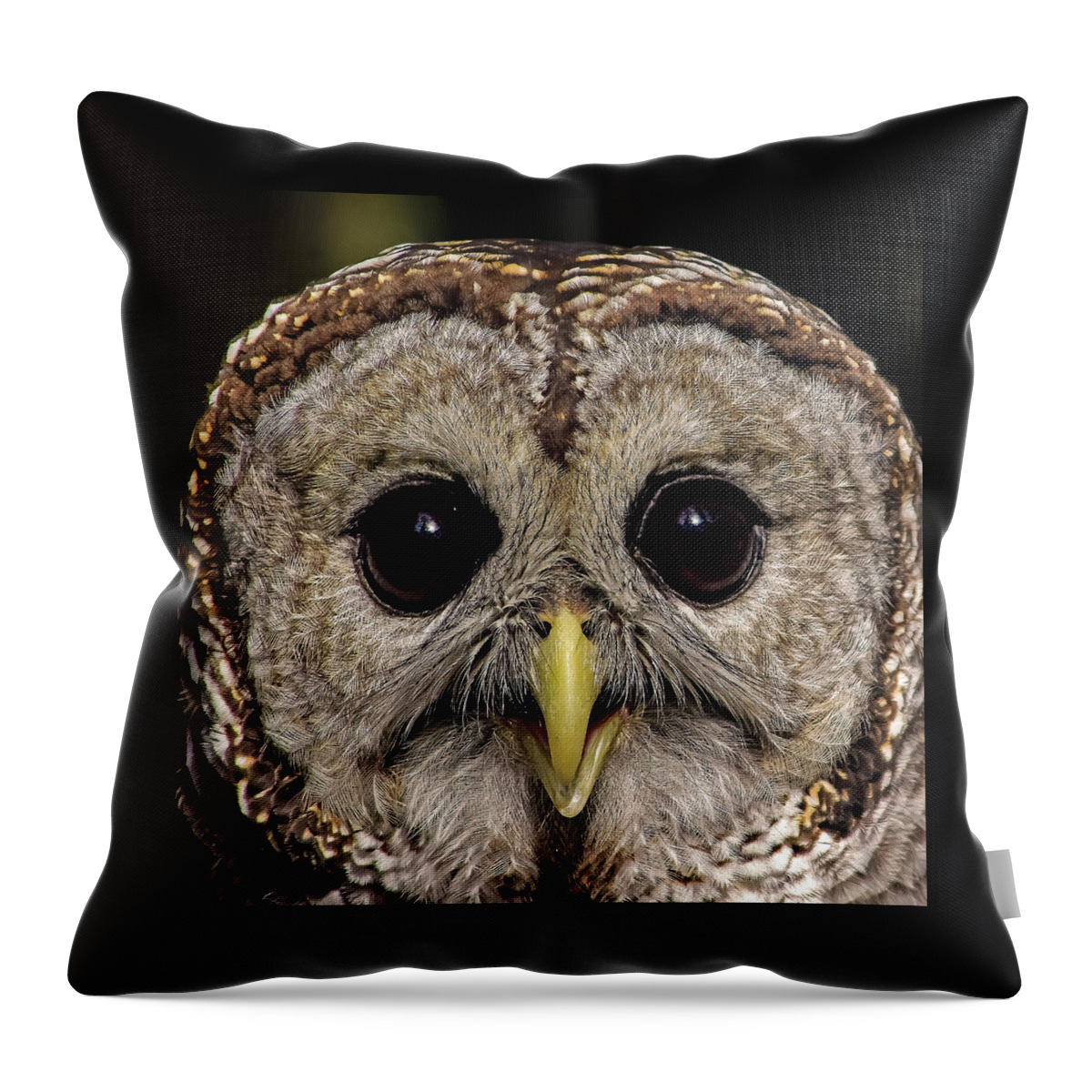 Owl Throw Pillow featuring the photograph Who's There by Michael Allard