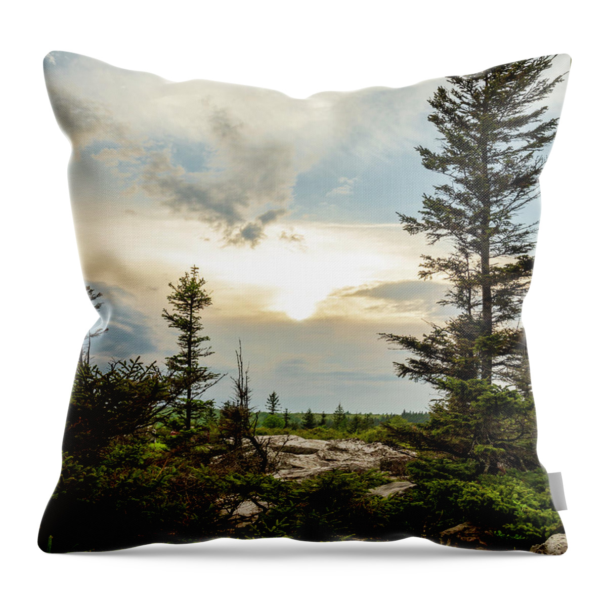 Bear Rocks Preserve Throw Pillow featuring the photograph Wild and Wonderful by SC Shank