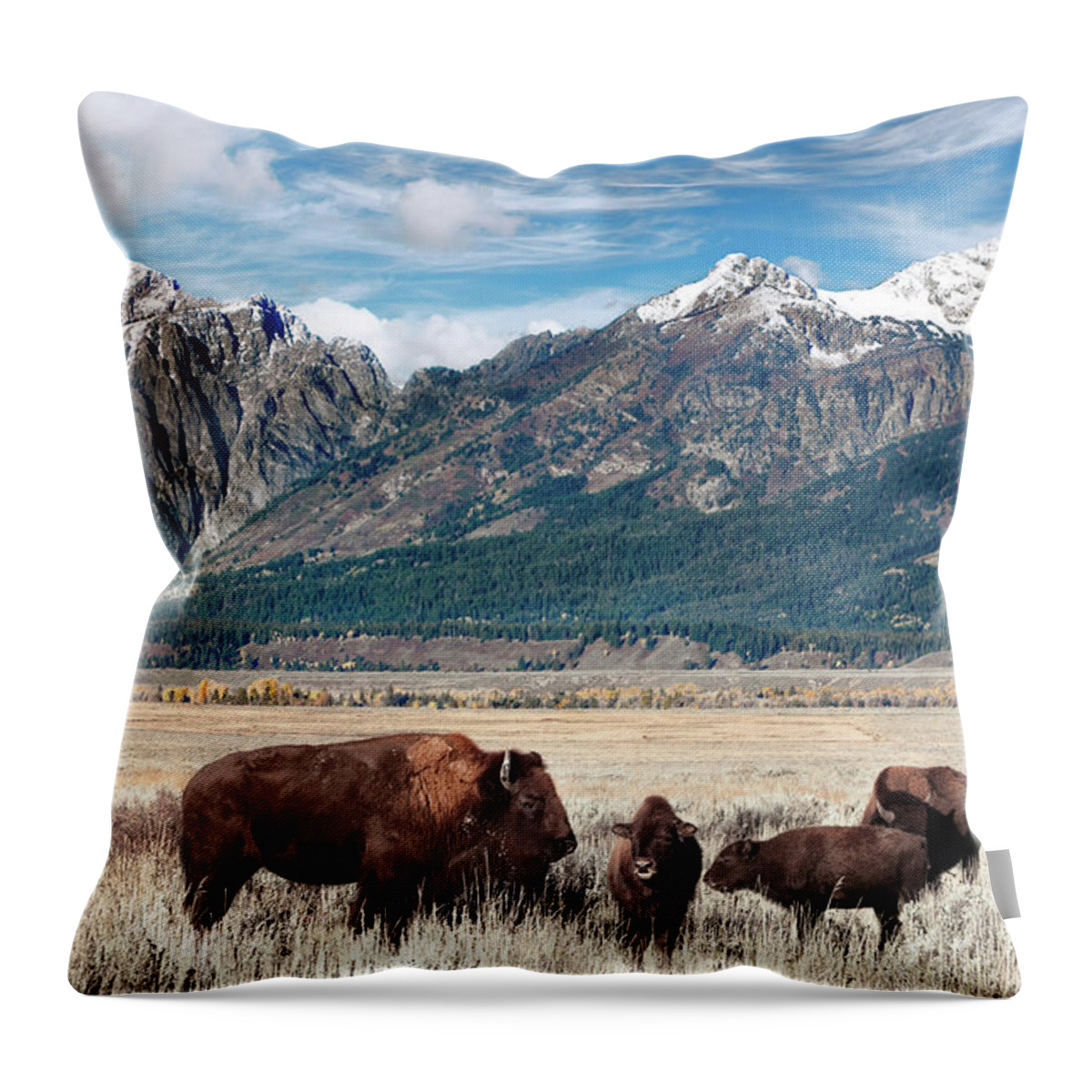 Bison Throw Pillow featuring the photograph Wild Bison on the Open Range by Kathleen Bishop